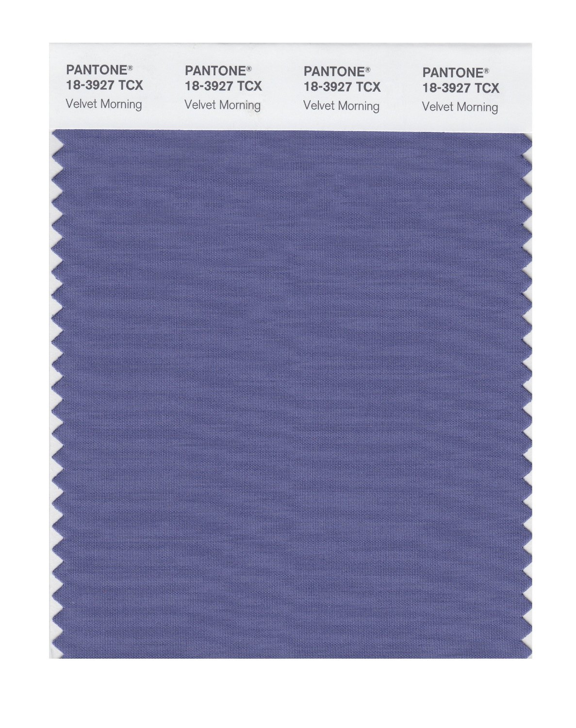 Pantone Cotton Swatch 18-3927 Velvet Morning