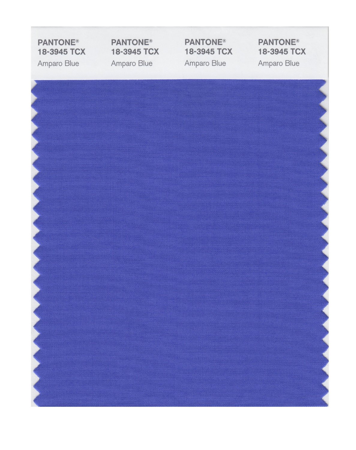 Pantone Cotton Swatch 18-3945 Amparo Blue