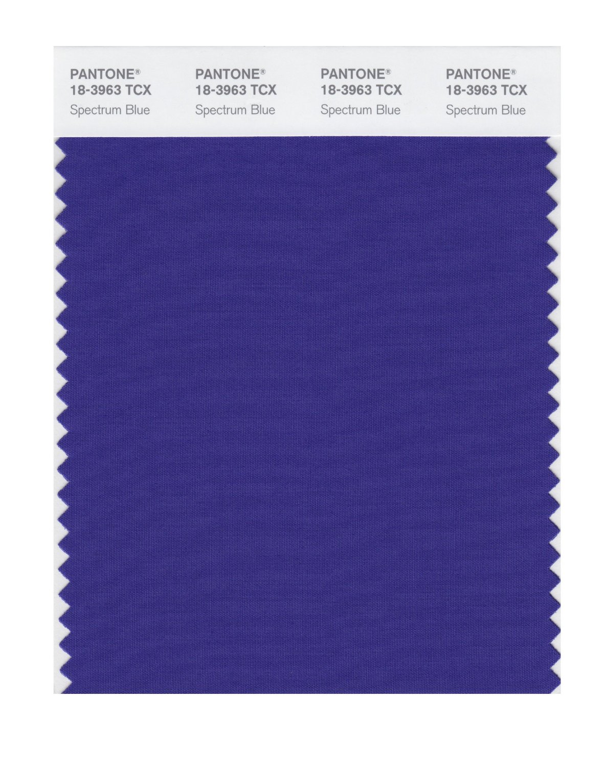 Pantone Cotton Swatch 18-3963 Spectrum Blue