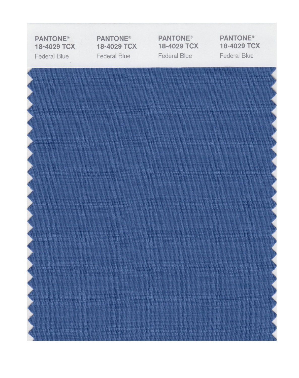 Pantone Cotton Swatch 18-4029 Federal Blue