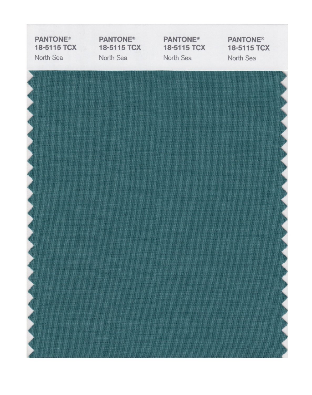 Pantone Cotton Swatch 18-5115 North Sea