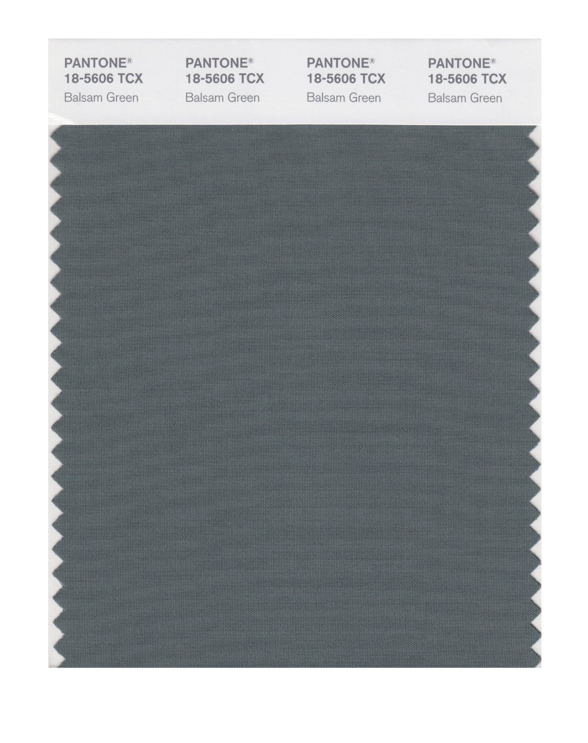 Pantone Cotton Swatch 18-5606 Balsam Green