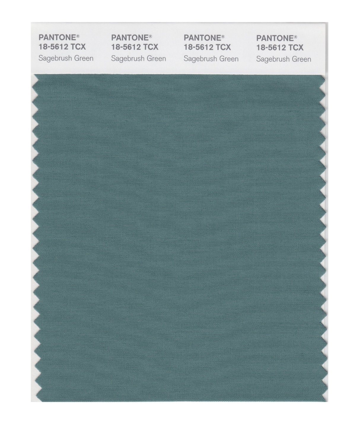 Pantone Cotton Swatch 18-5612 Sagebush Green