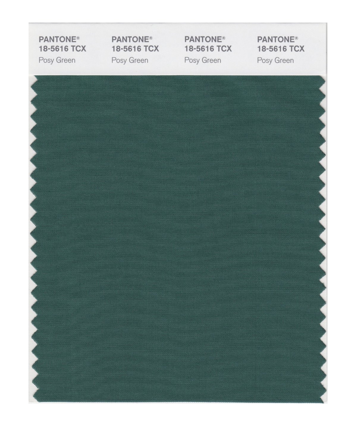 Pantone Cotton Swatch 18-5616 Posy Green