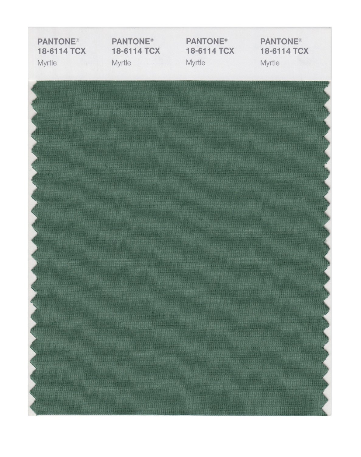 Pantone Cotton Swatch 18-6114 Myrtle