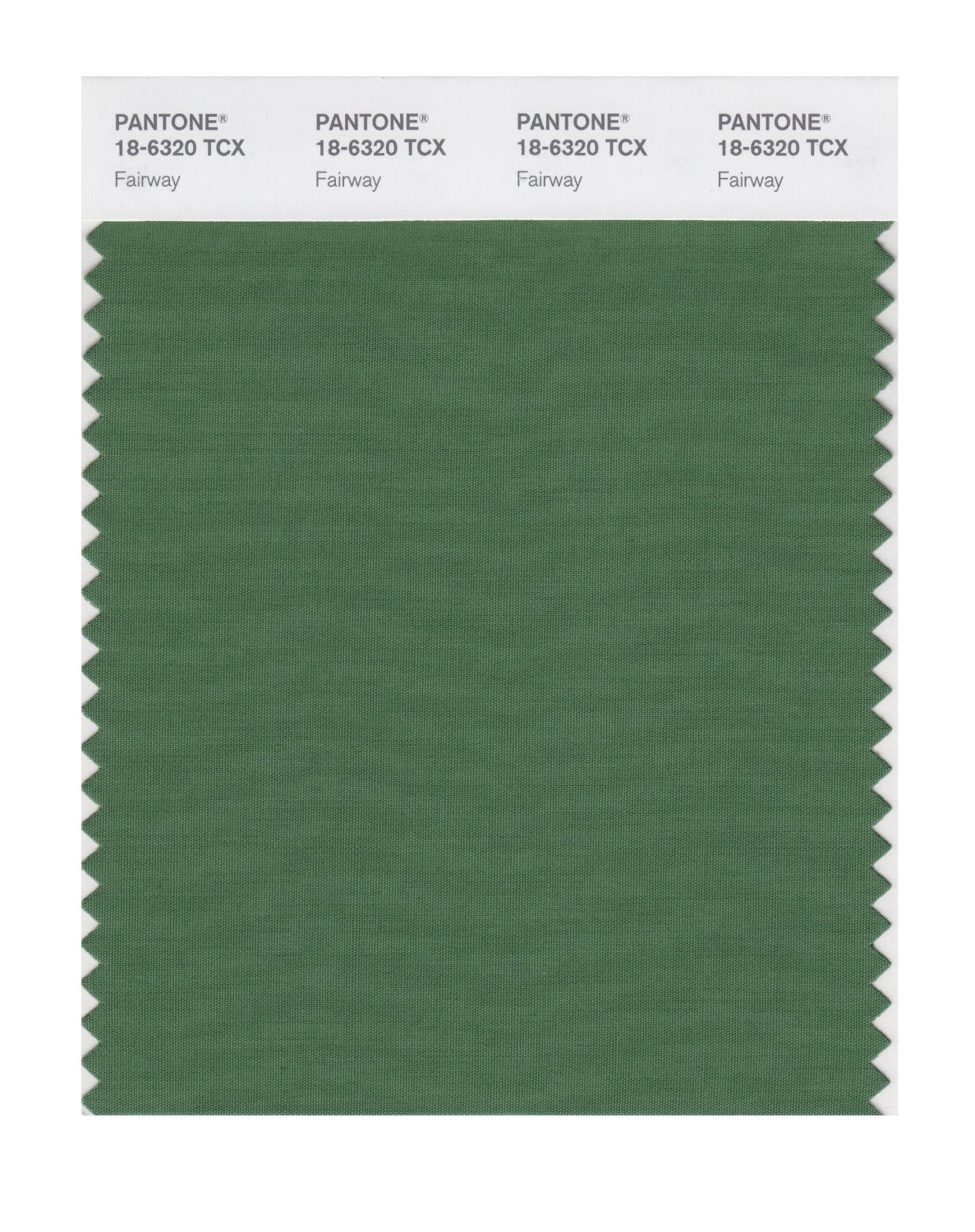 Pantone Cotton Swatch 18-6320 Fairway