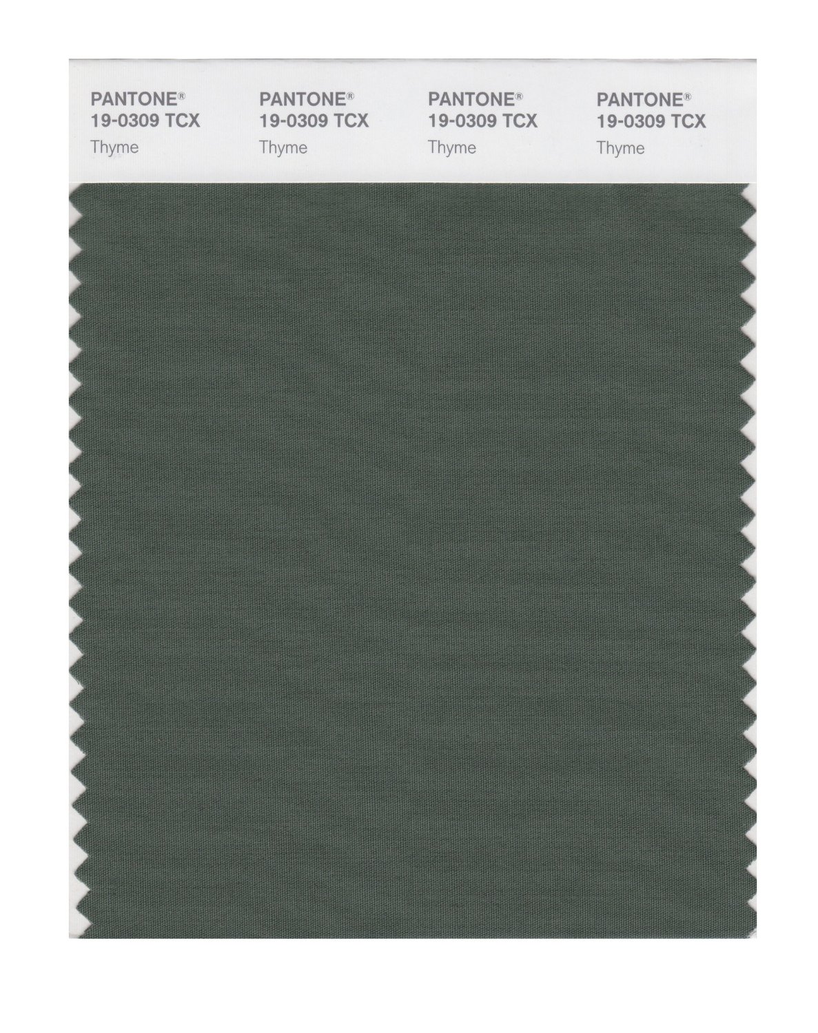 Pantone Cotton Swatch 19-0309 Thyme