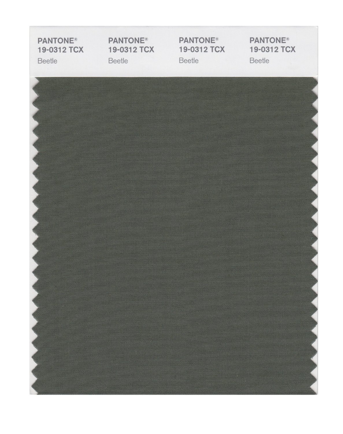 Pantone Cotton Swatch 19-0312 Beetle