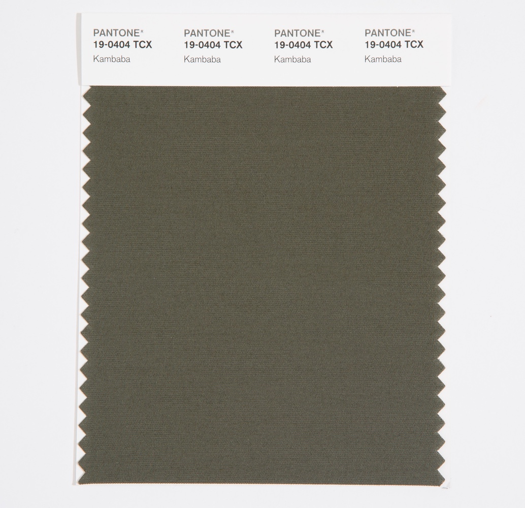 Pantone Cotton Swatch 19-0404 Kambaba