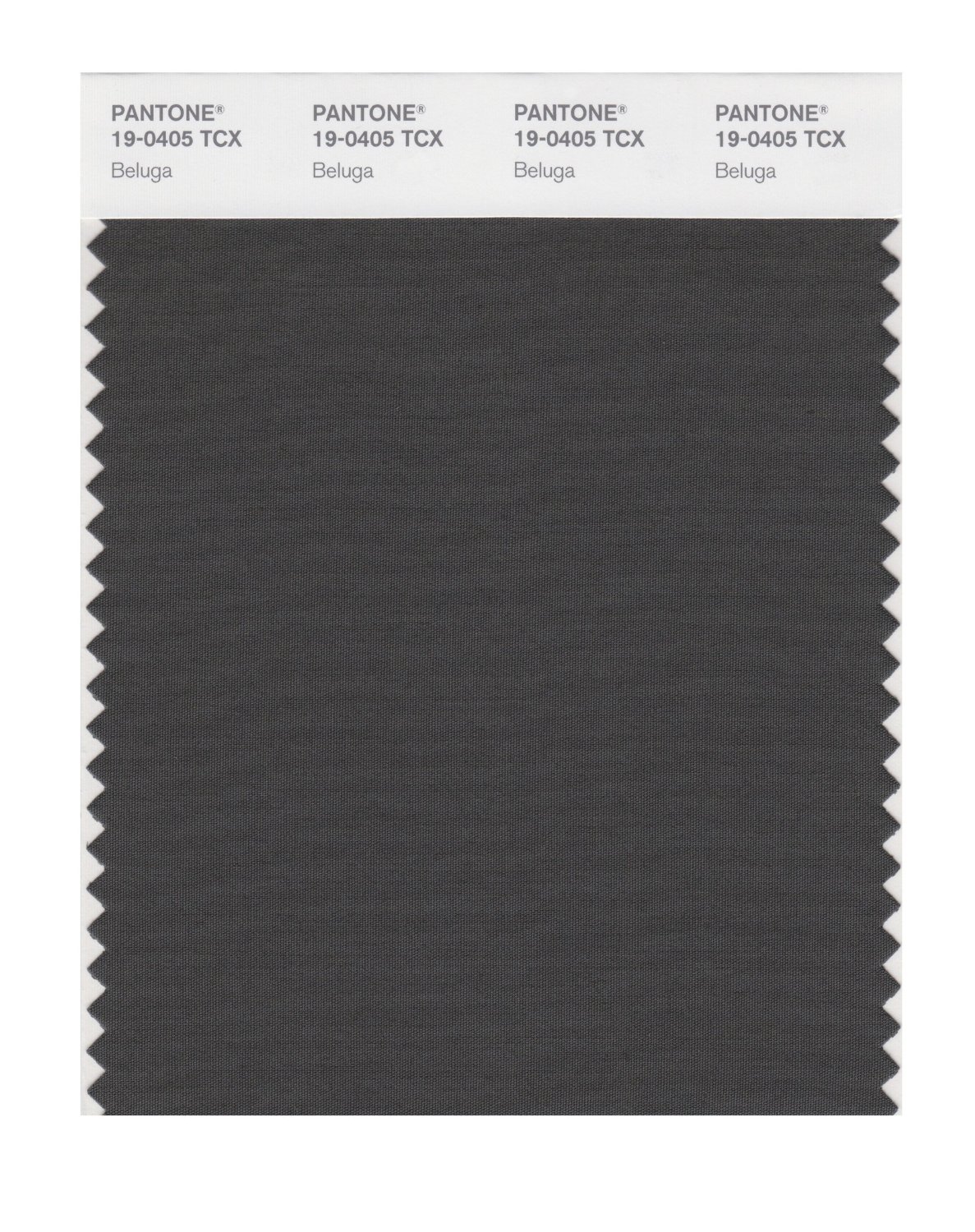 Pantone Cotton Swatch 19-0405 Beluga