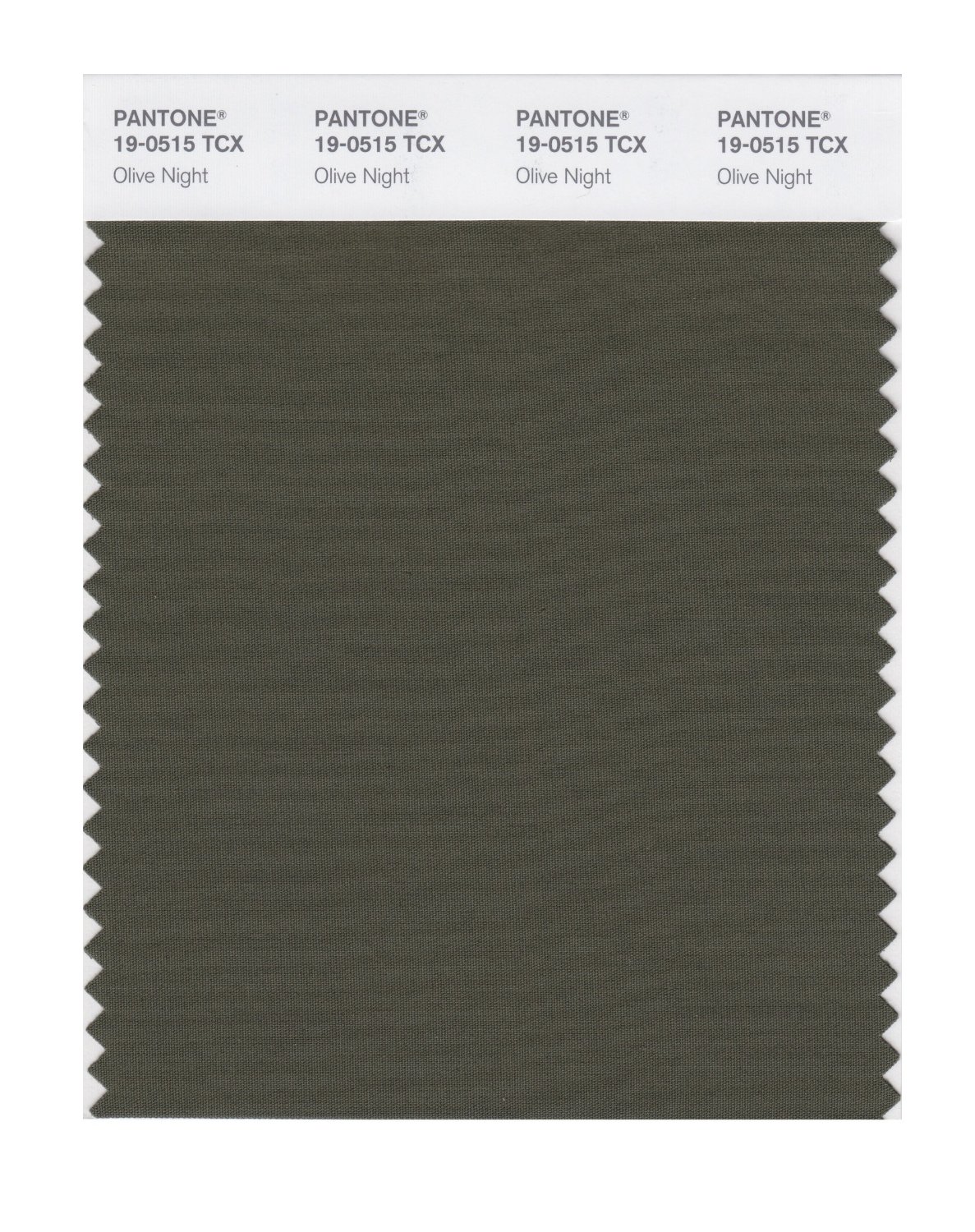 Pantone Cotton Swatch 19-0515 Olive Night