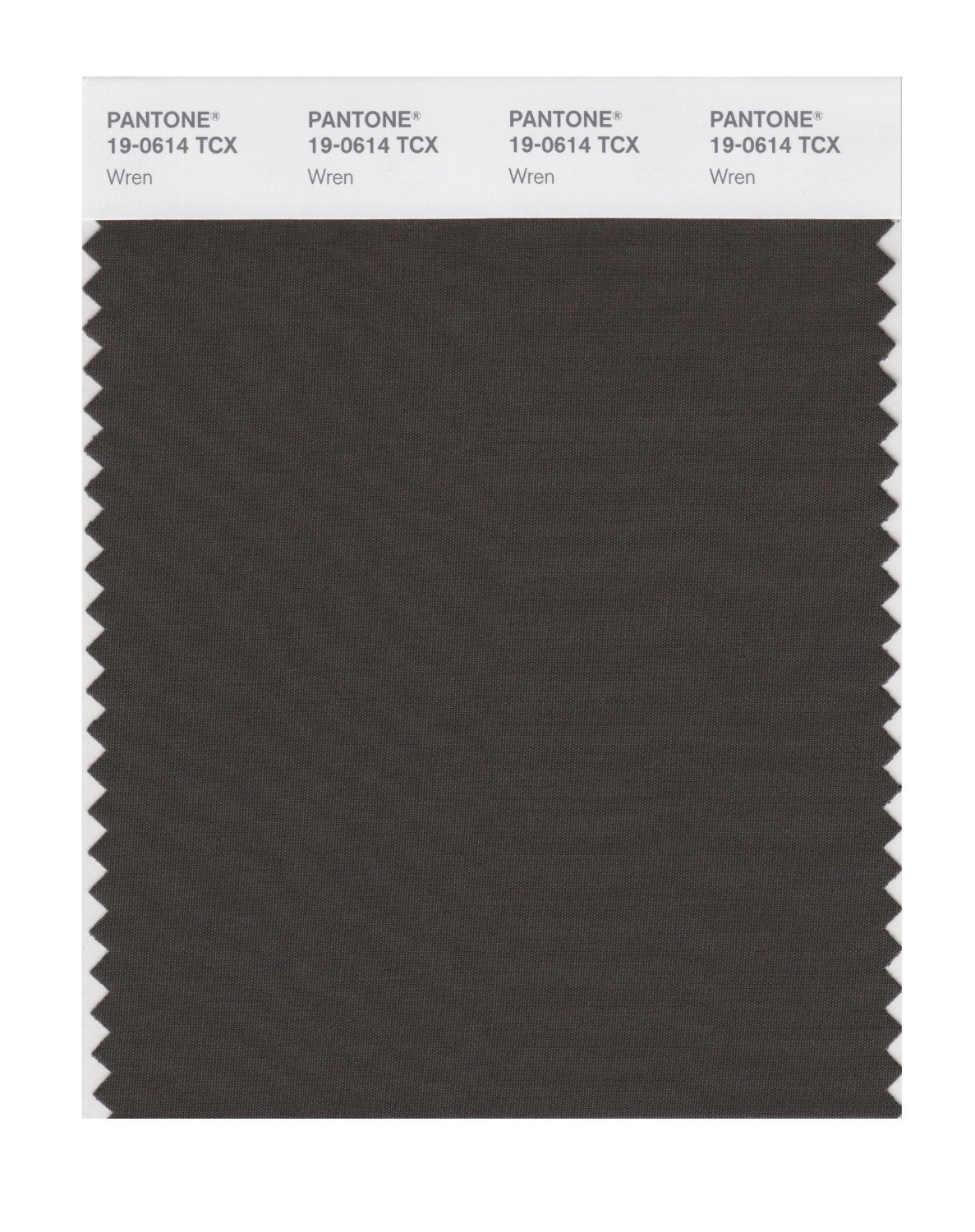 Pantone Cotton Swatch 19-0614 Wren