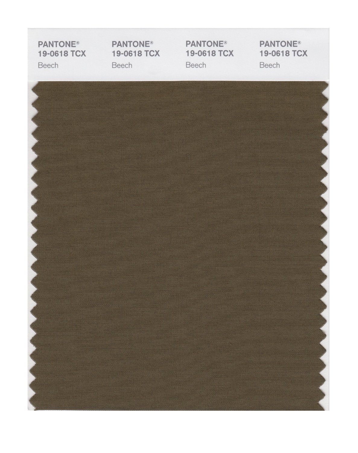 Pantone Cotton Swatch 19-0618 Beech