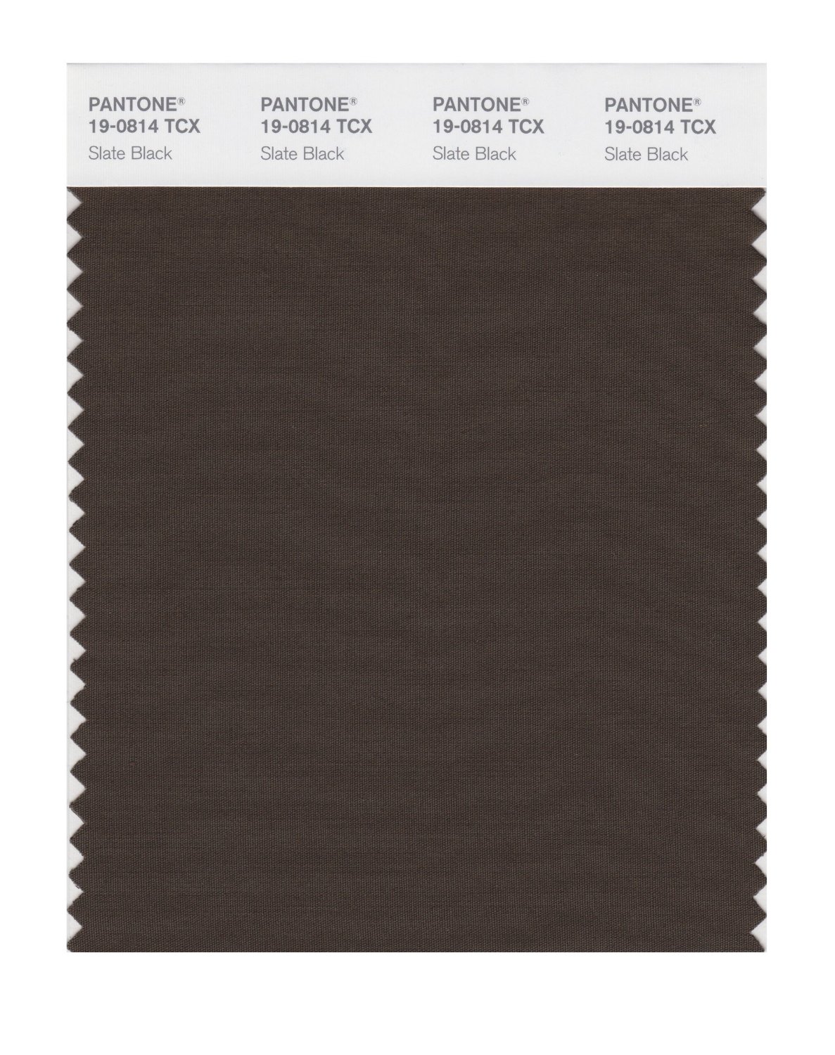 Pantone Cotton Swatch 19-0814 Slate Black