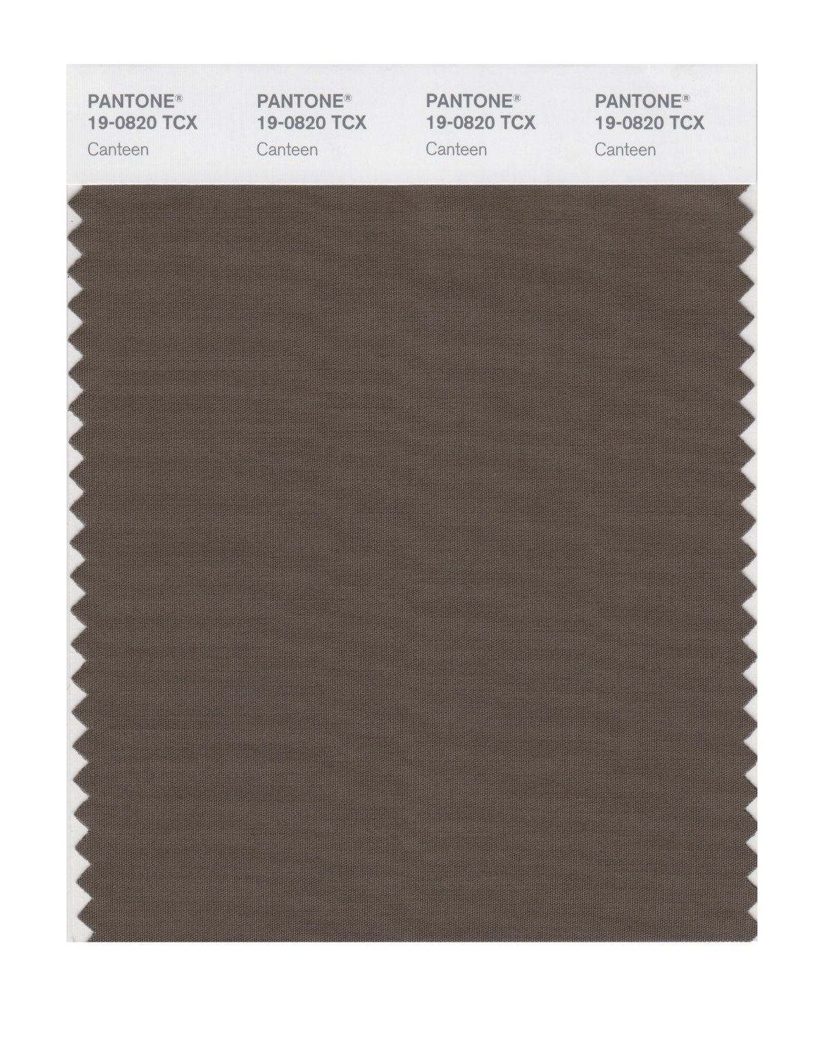 Pantone Cotton Swatch 19-0820 Canteen