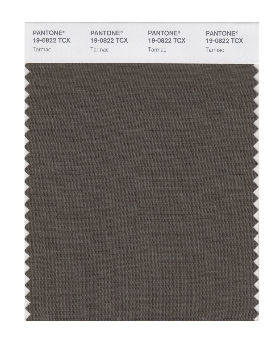 Pantone Cotton Swatch 19-0822 Tarmac