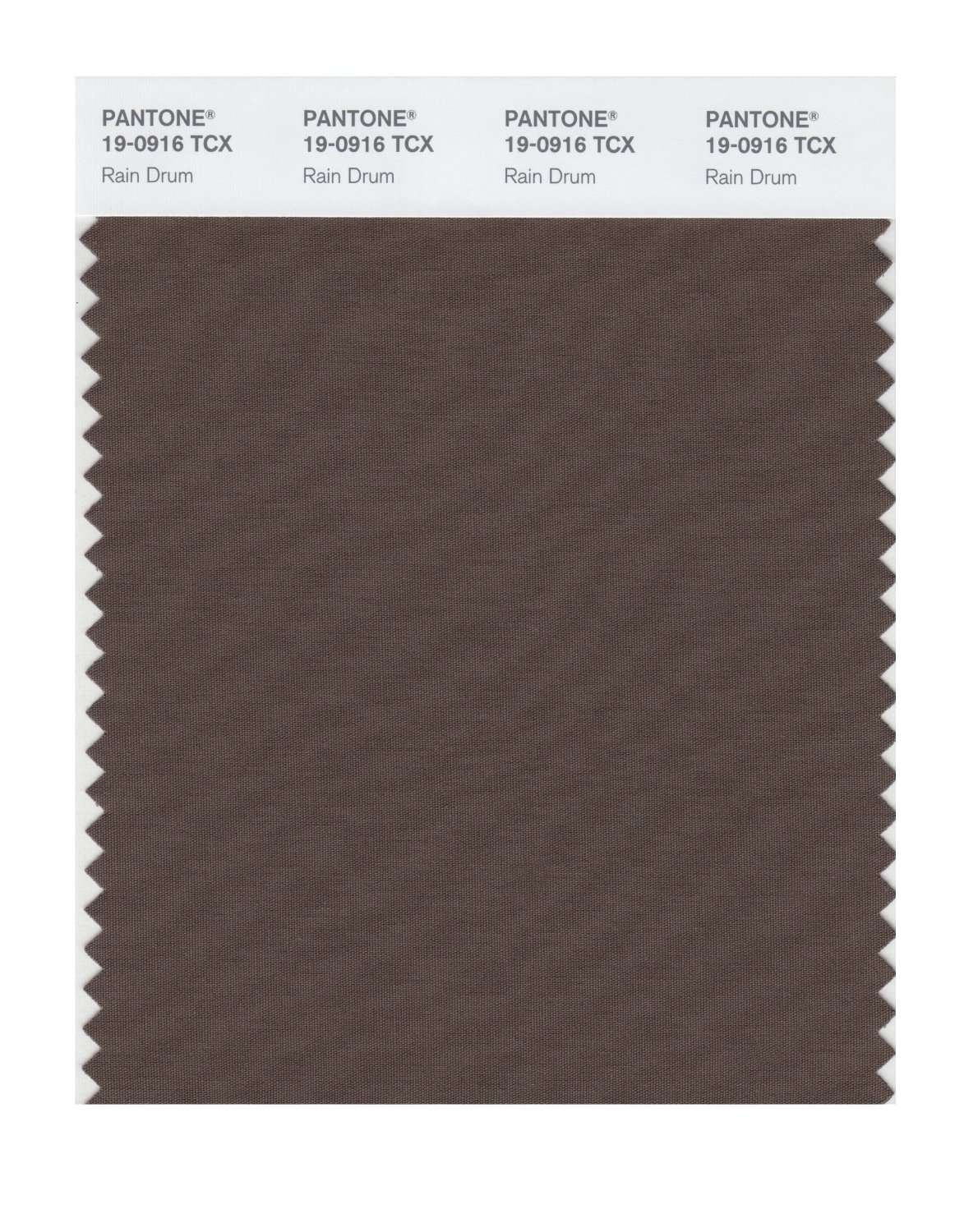 Pantone Cotton Swatch 19-0916 Rain Drum