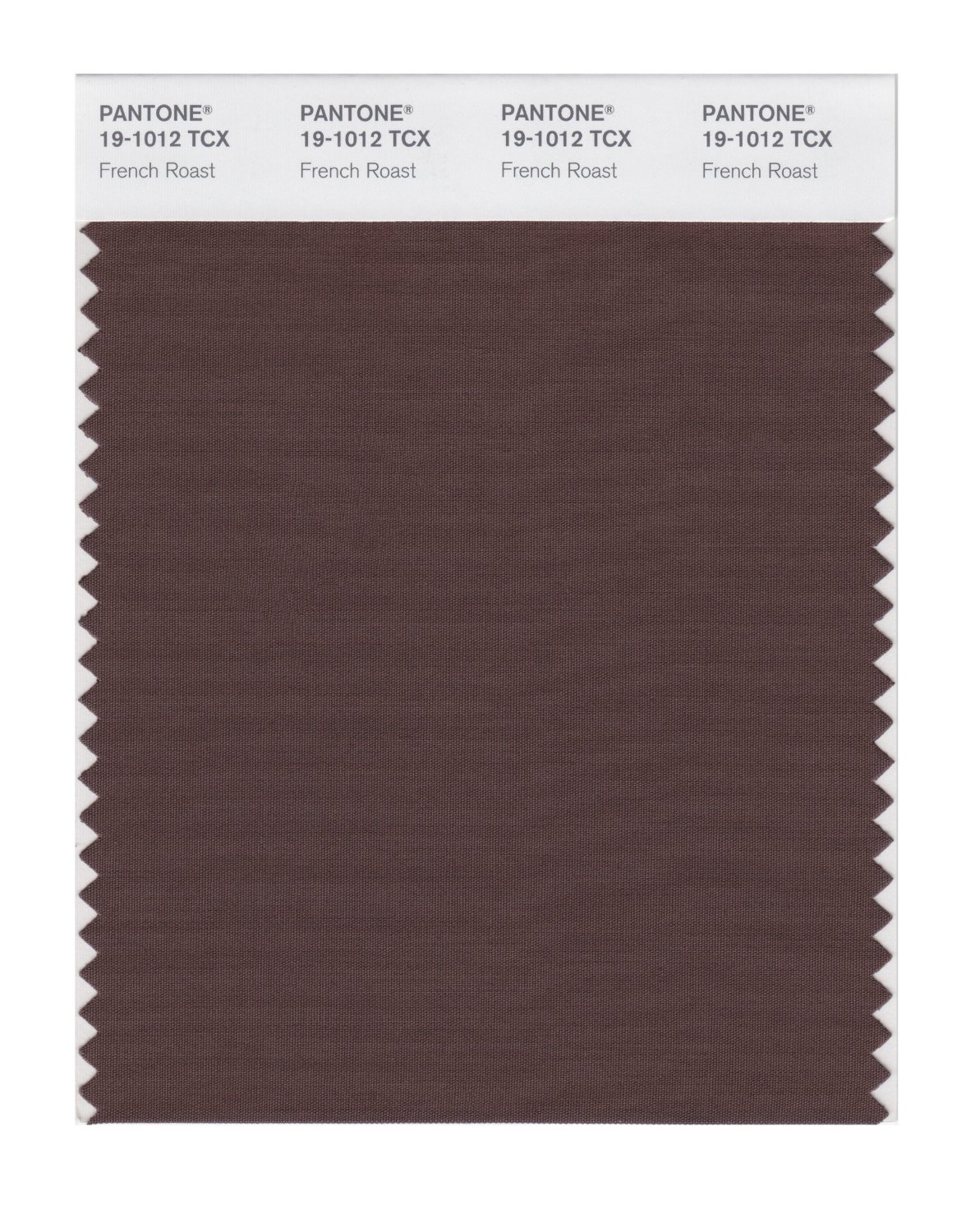 Pantone Cotton Swatch 19-1012 French Roast