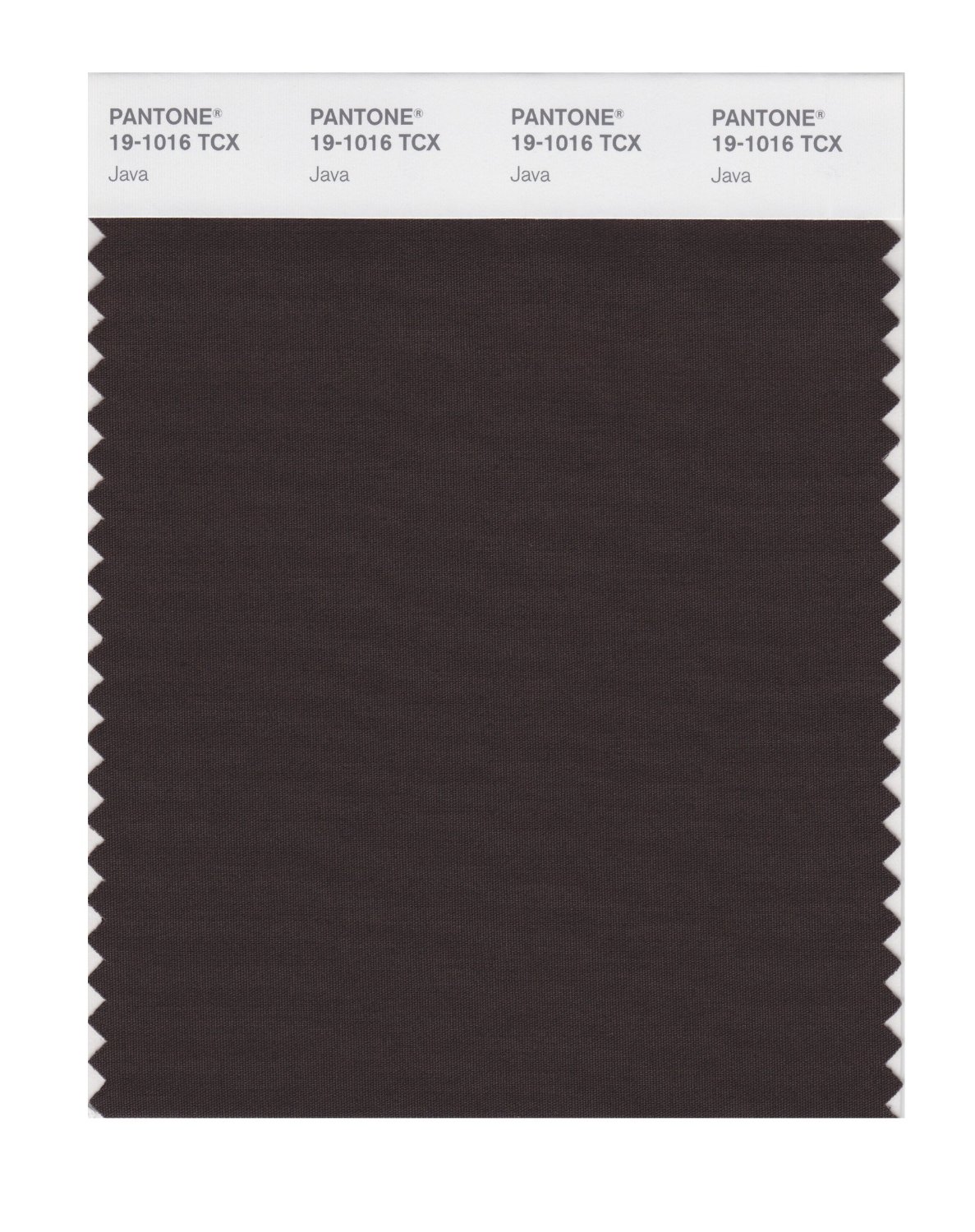 Pantone Cotton Swatch 19-1016 Java