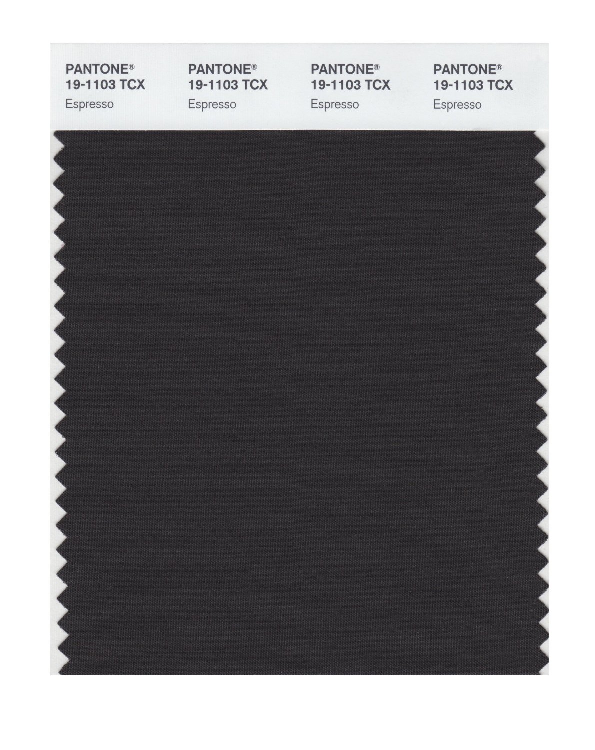 Pantone Cotton Swatch 19-1103 Espresso