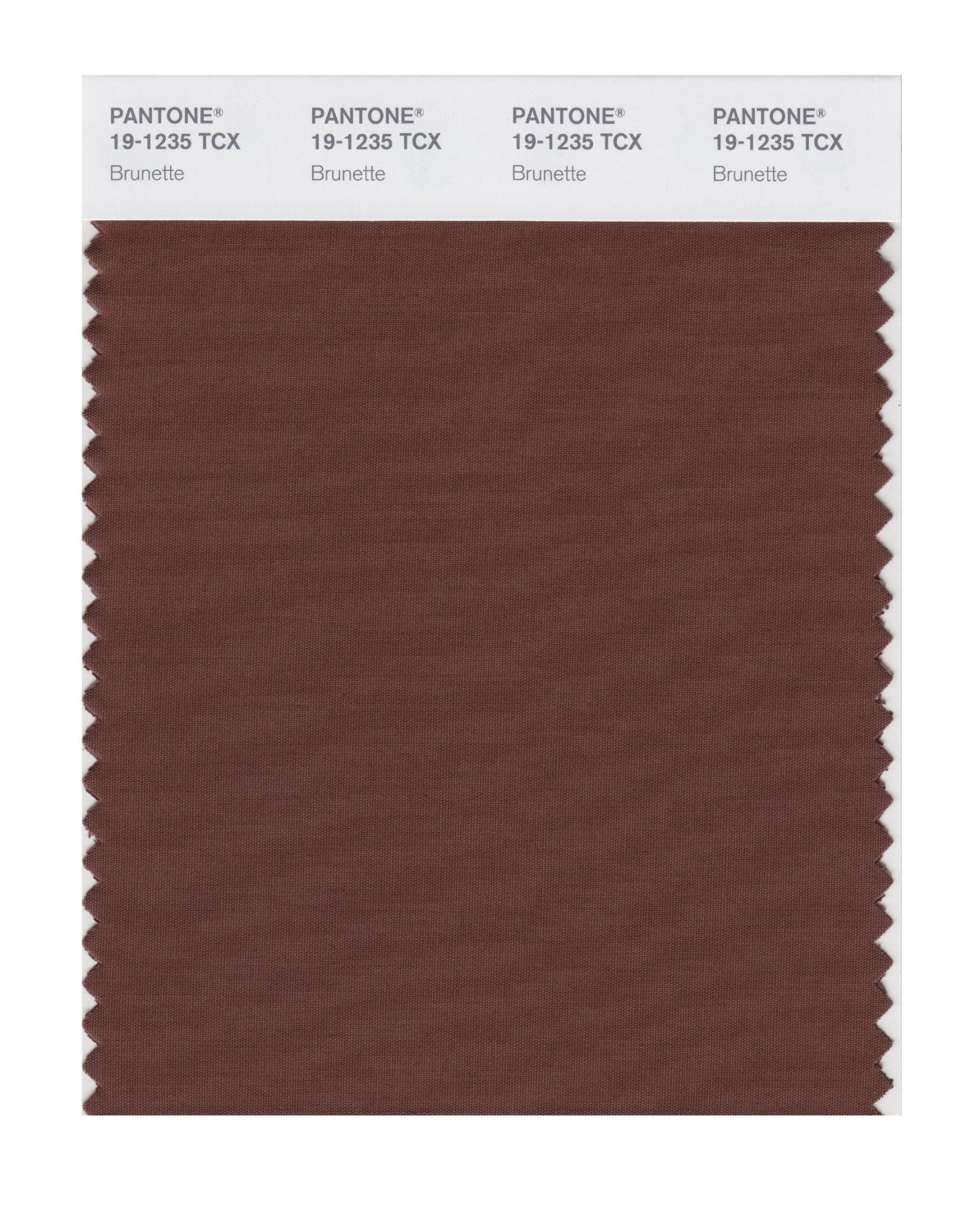 Pantone Cotton Swatch 19-1235 Brunette