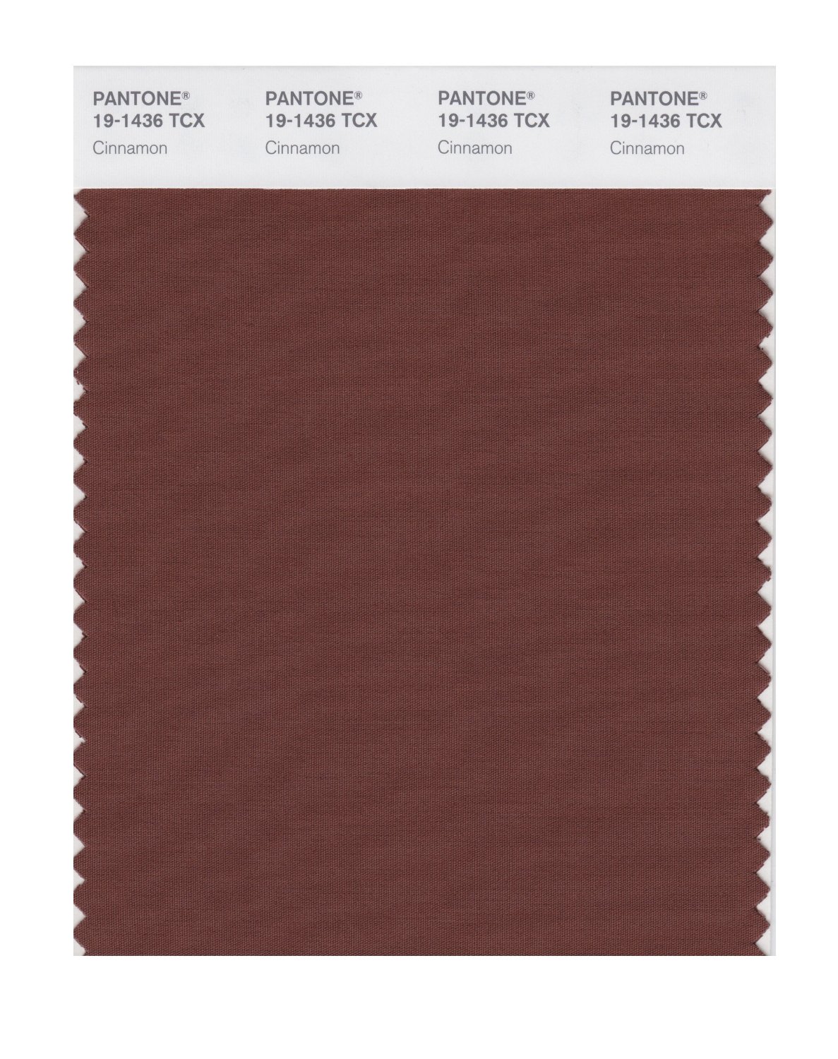 Pantone Cotton Swatch 19-1436 Cinnamon