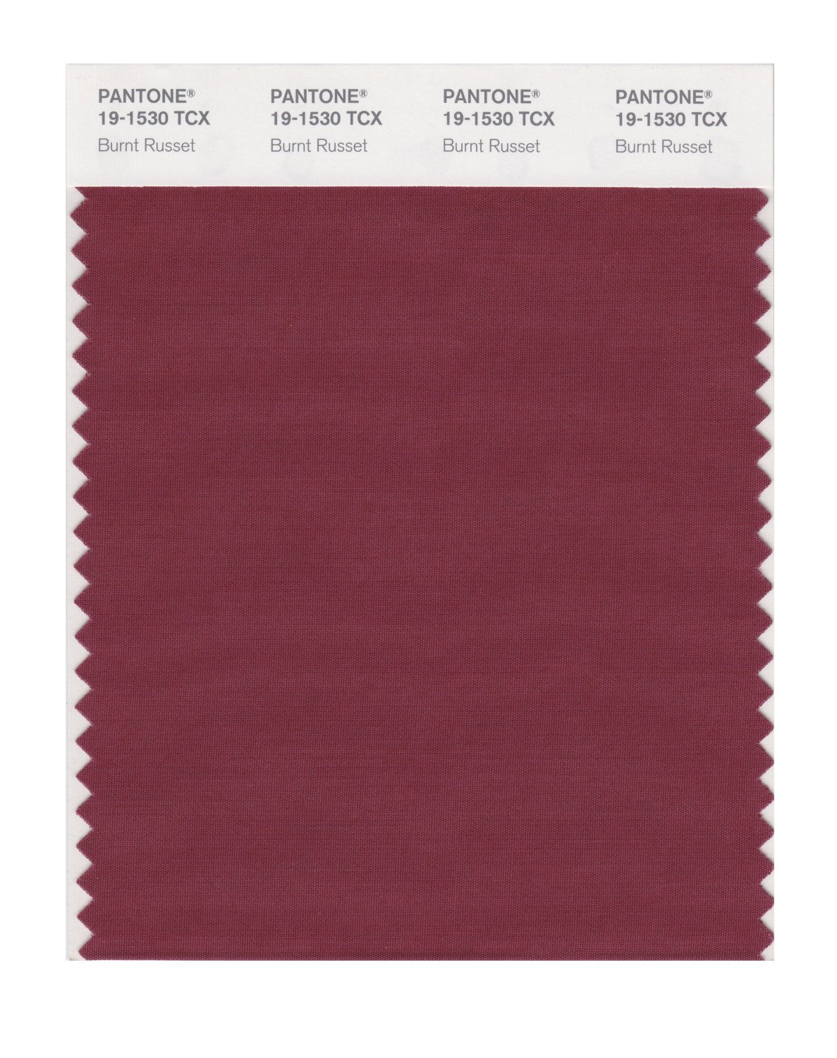 Pantone Cotton Swatch 19-1530 Burnt Russet