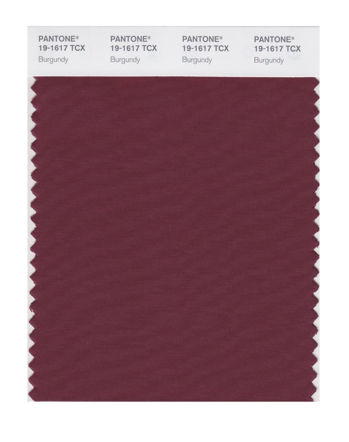 Pantone Cotton Swatch 19-1617 Burgundy