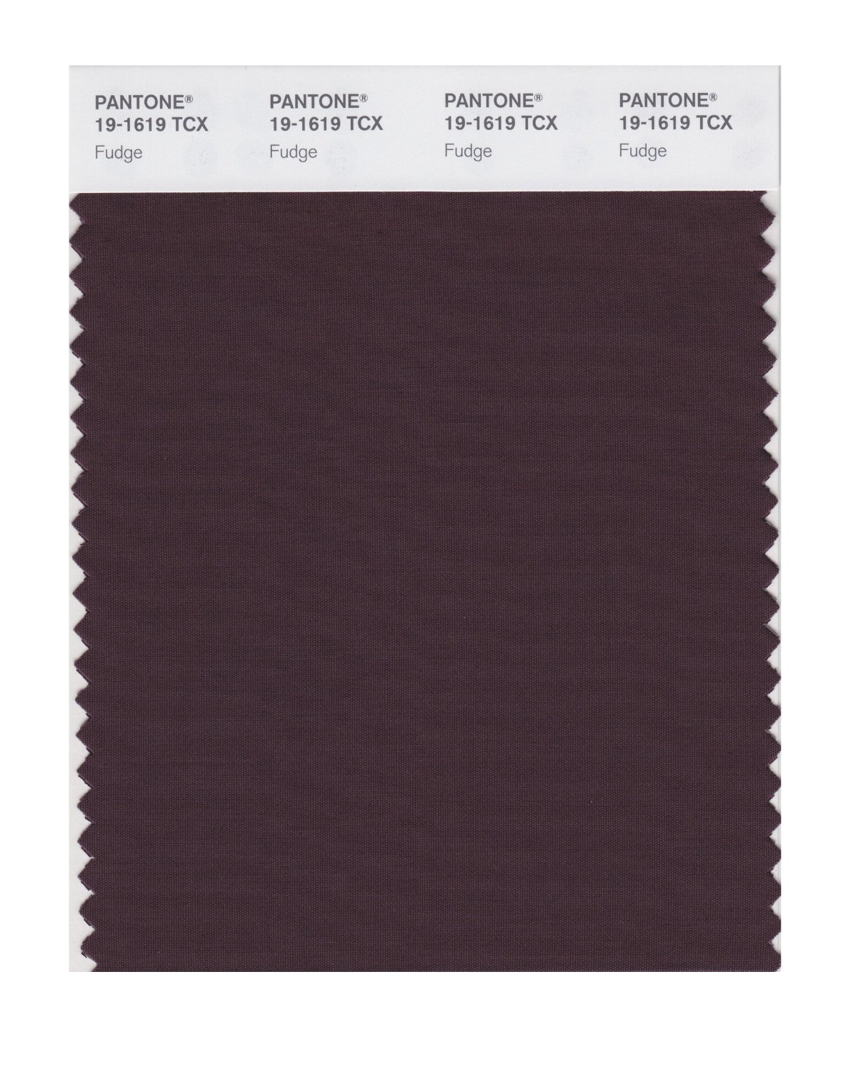 Pantone Cotton Swatch 19-1619 Fudge