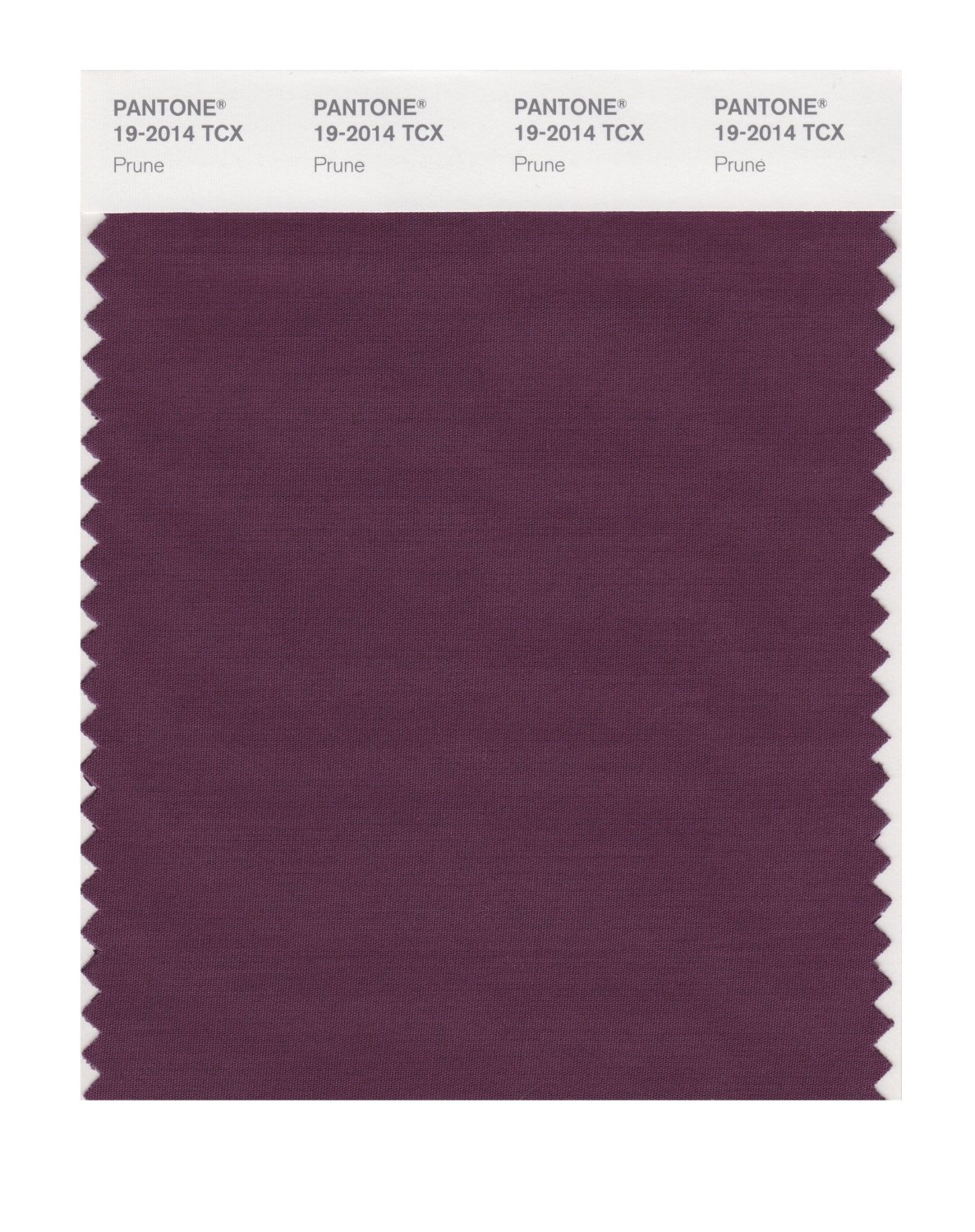 Pantone Cotton Swatch 19-2014 Prune