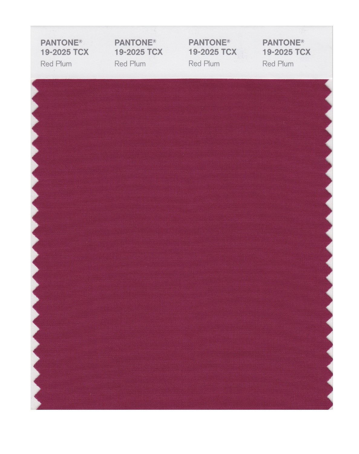 Pantone Cotton Swatch 19-2025 Red Plum