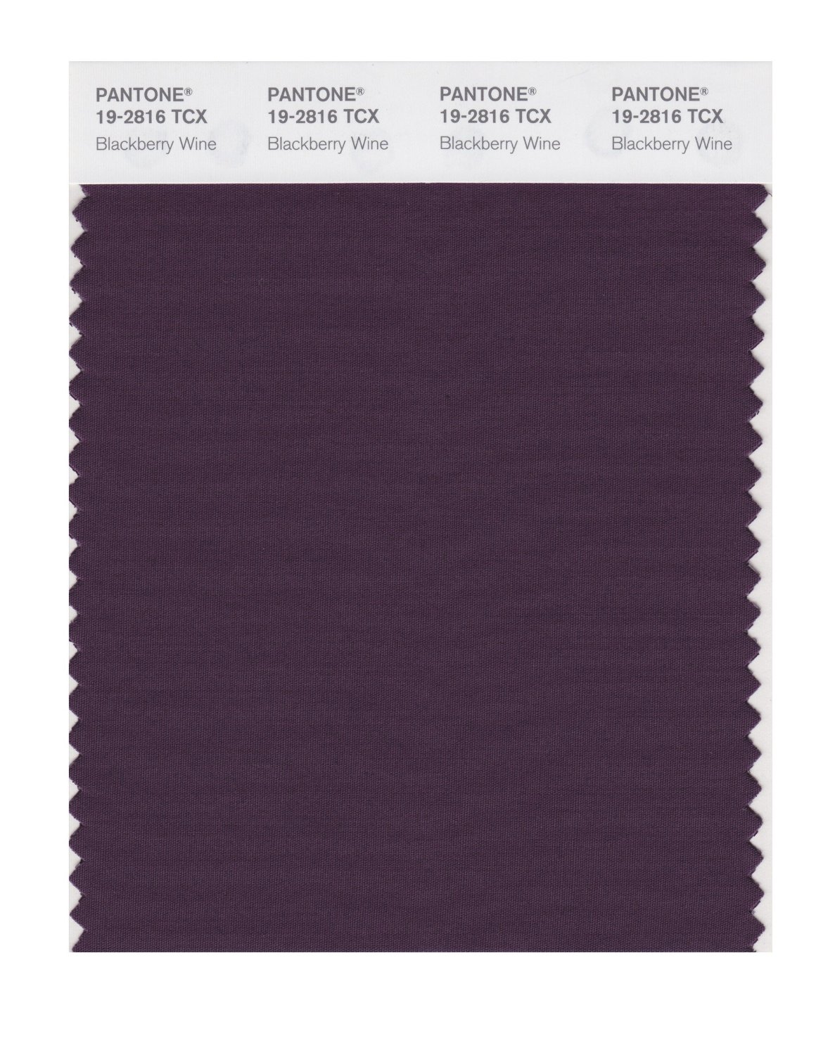 Pantone Cotton Swatch 19-2816 Blackberry Wine