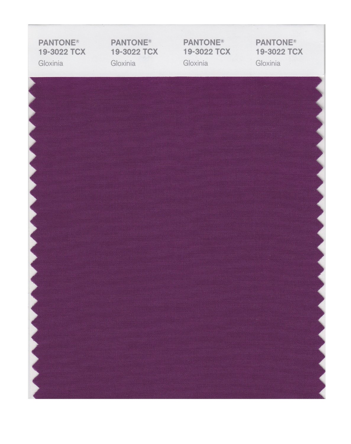 Pantone Cotton Swatch 19-3022 Gloxinia