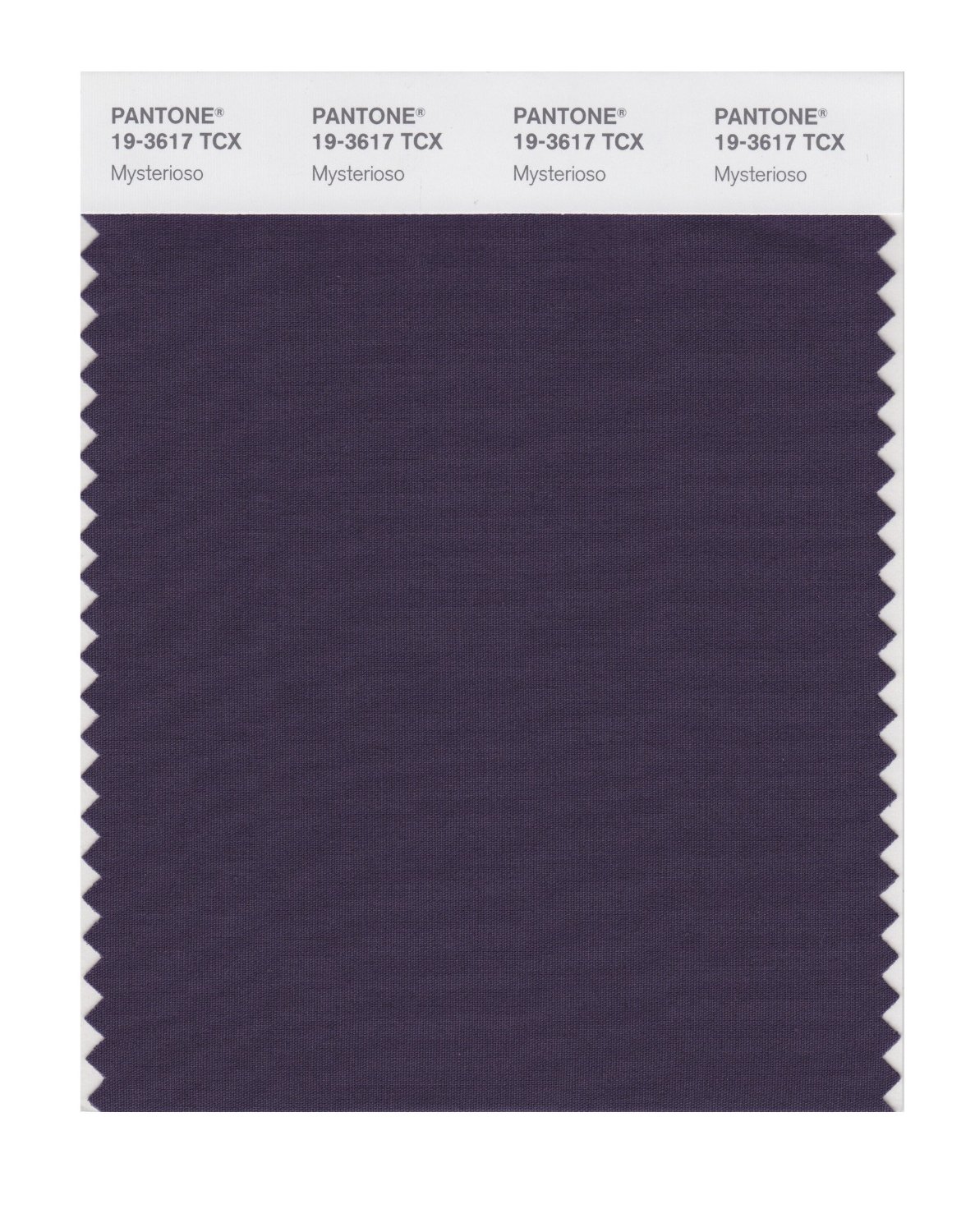 Pantone Cotton Swatch 19-3617 Mysterioso