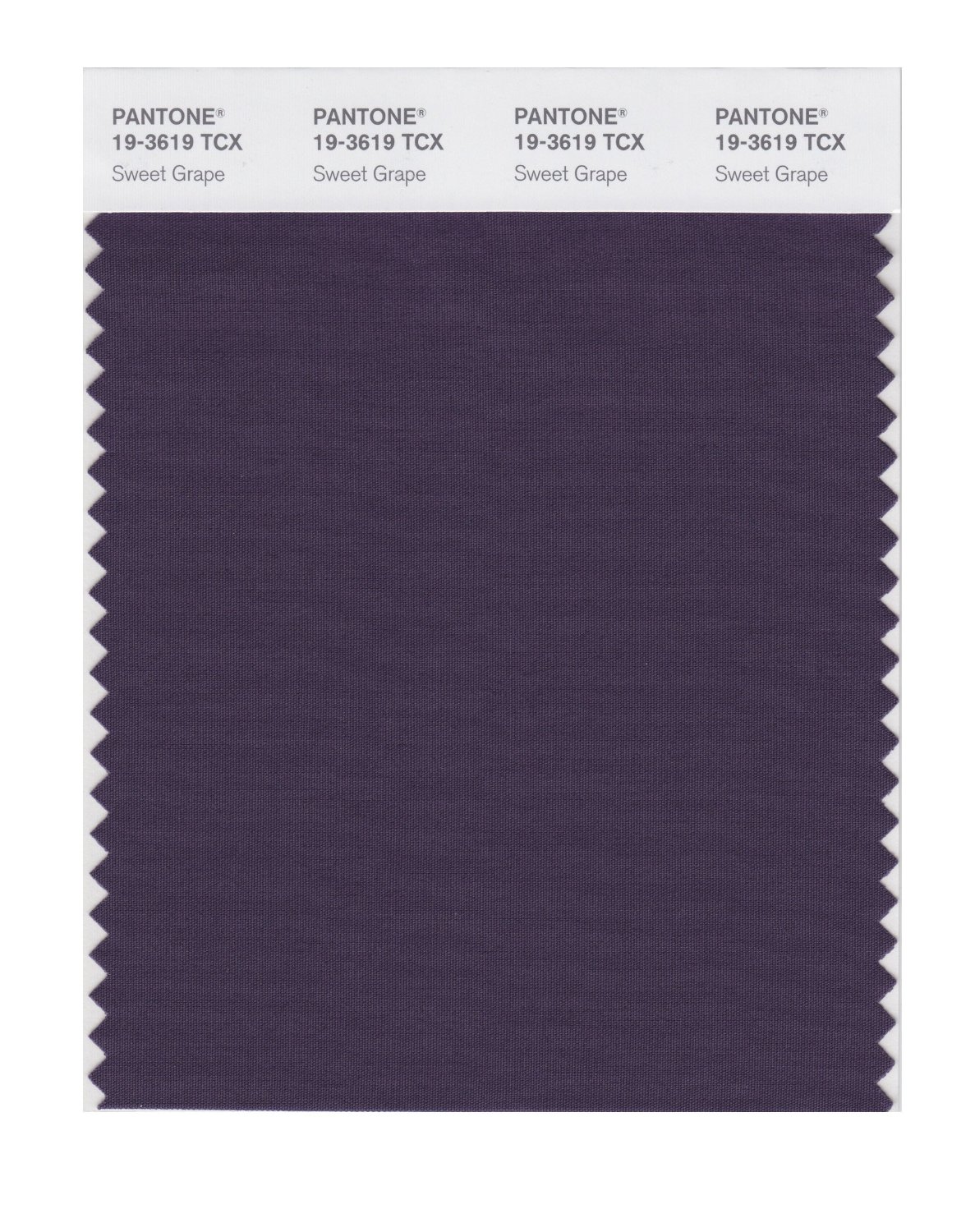 Pantone Cotton Swatch 19-3619 Sweet Grape