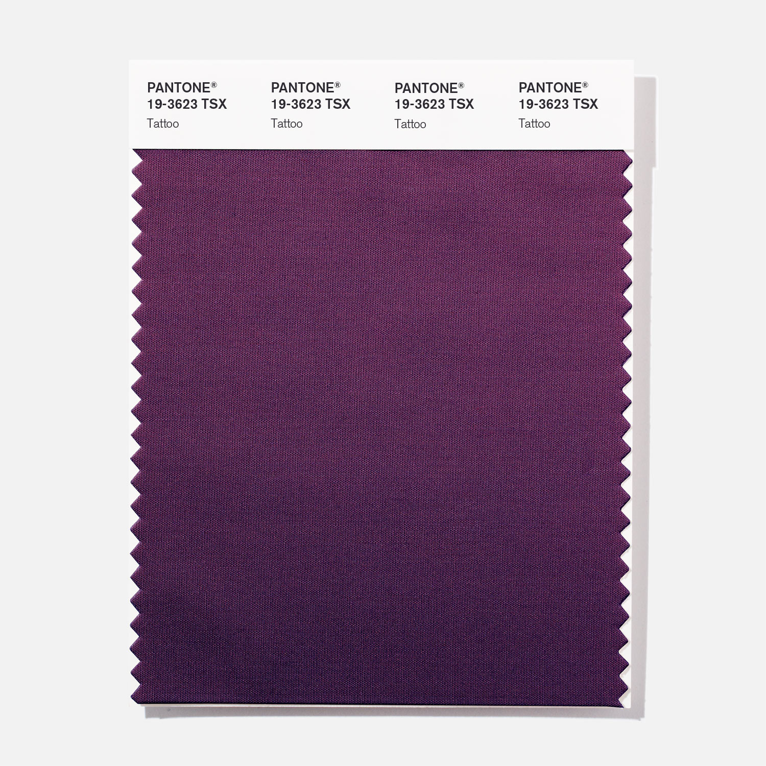 Pantone Polyester Swatch 19-3623 Tattoo