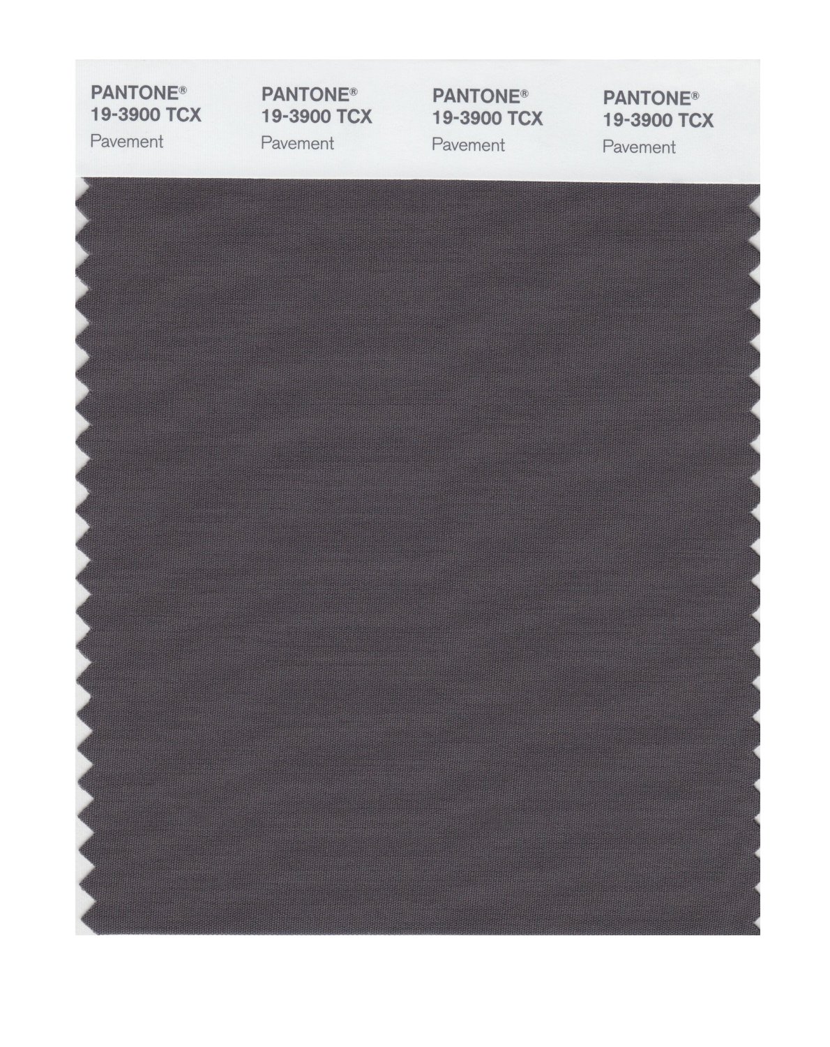 Pantone Cotton Swatch 19-3900 Pavement