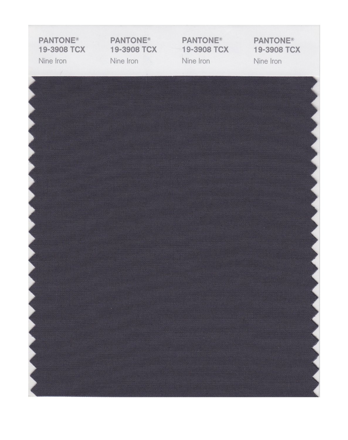 Pantone Cotton Swatch 19-3908 Nine Iron