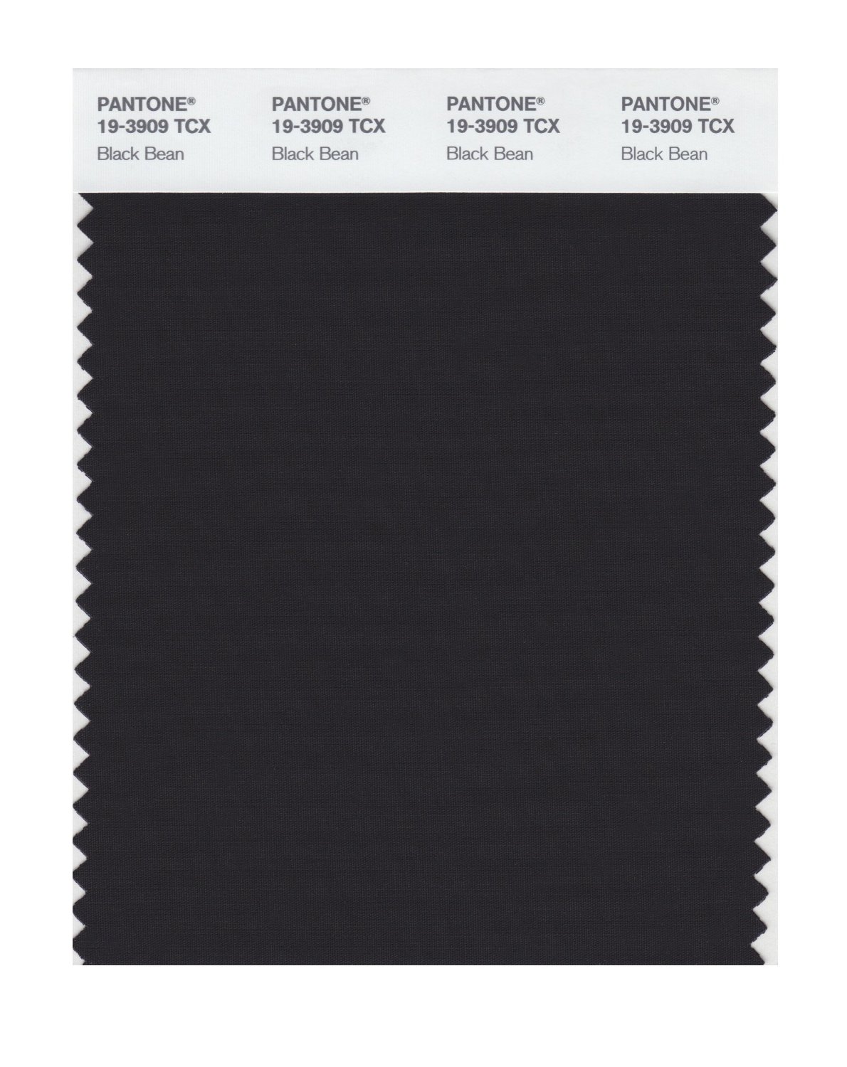 Pantone Cotton Swatch 19-3909 Black Bean