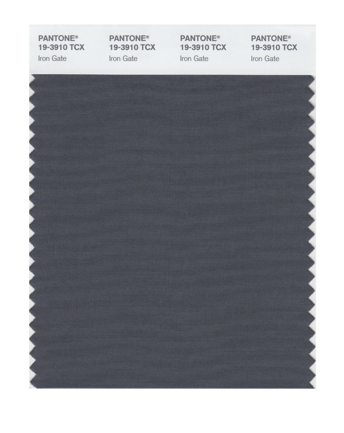 Pantone Cotton Swatch 19-3910 Iron Gate