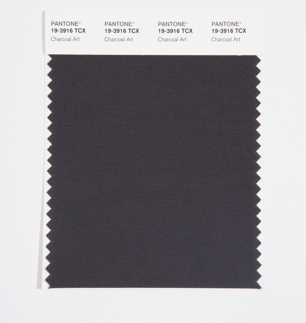 Pantone Cotton Swatch 19-3916 Charcoal Art