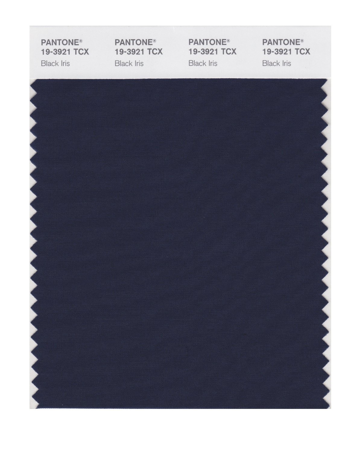 Pantone Cotton Swatch 19-3921 Black Iris