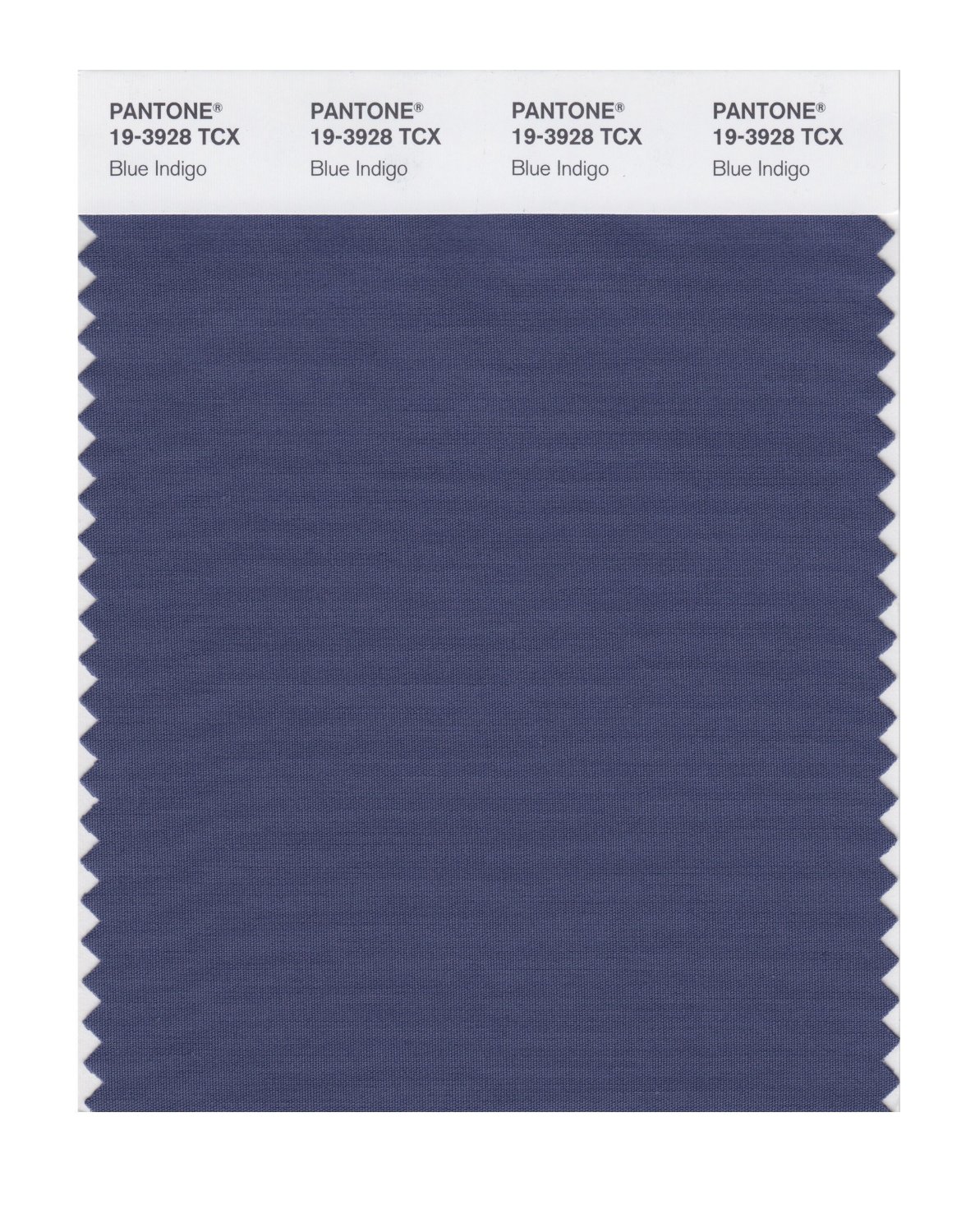 Pantone Cotton Swatch 19-3928 Blue Indigo