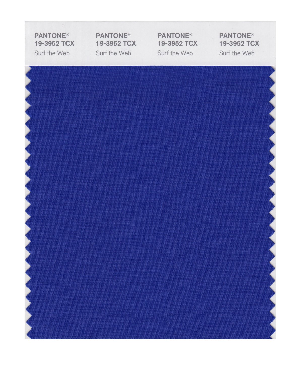 Pantone Cotton Swatch 19-3952 Surf The Web