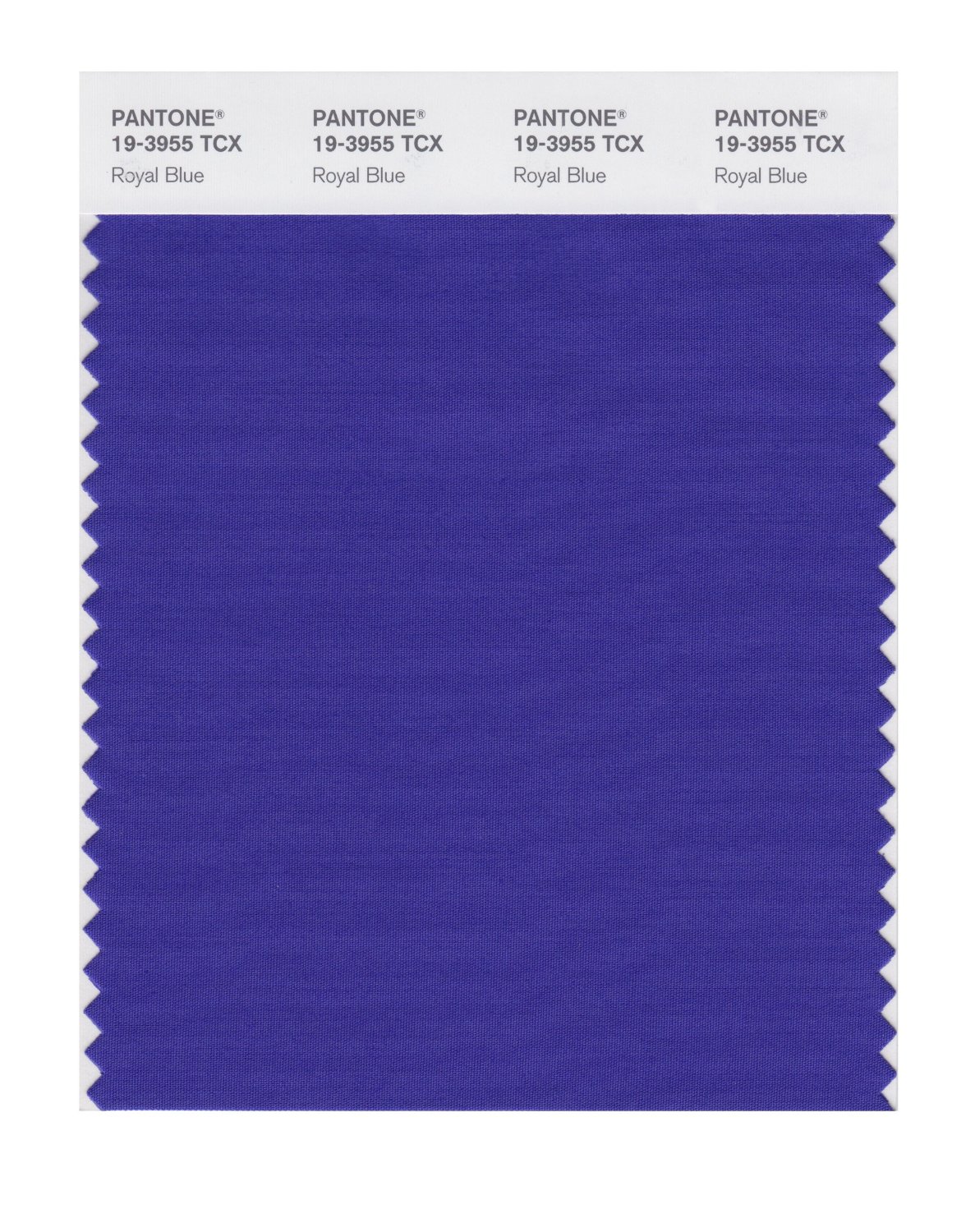 Pantone Cotton Swatch 19-3955 Royal Blue