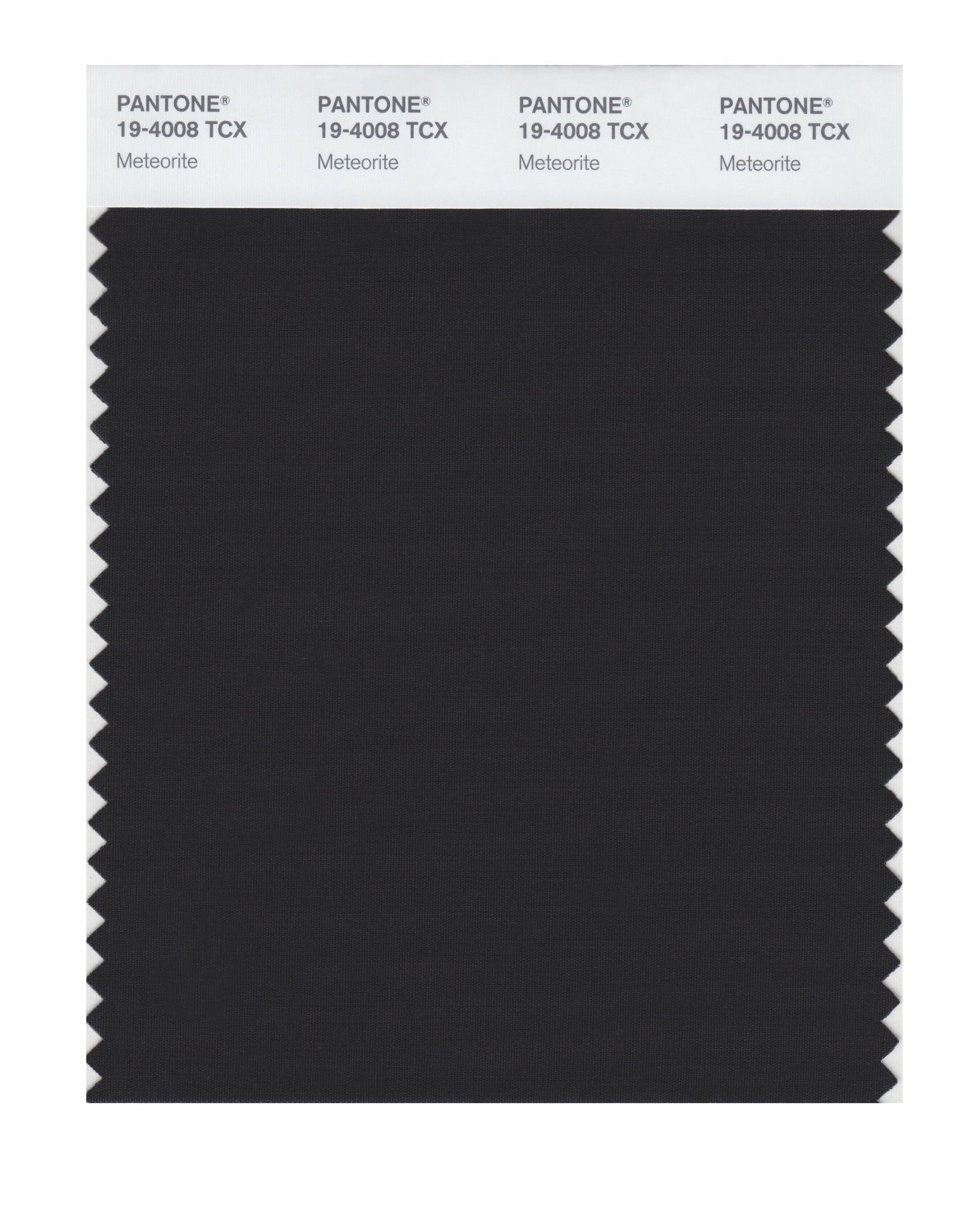 Pantone Cotton Swatch 19-4008 Meteorite