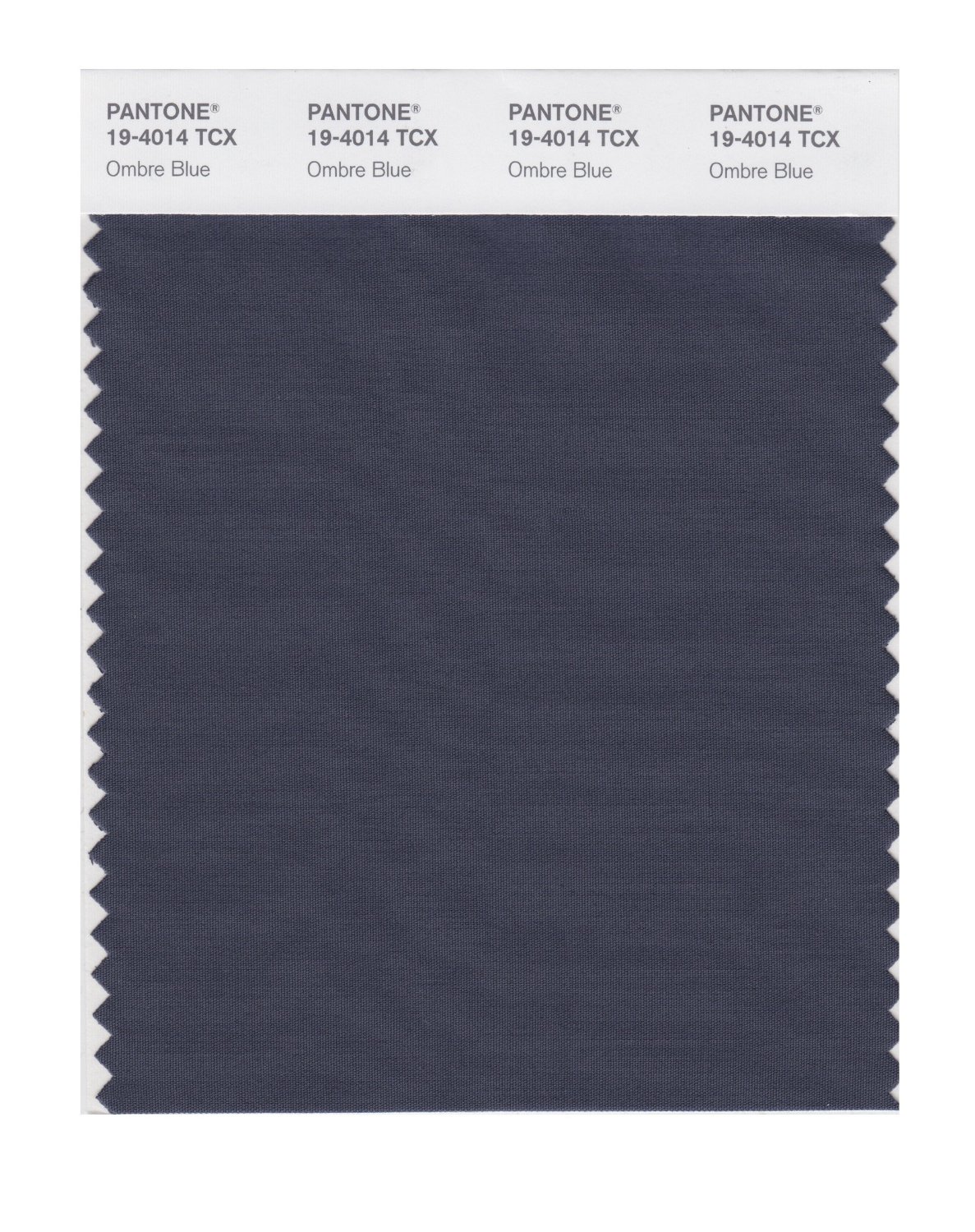 Pantone Cotton Swatch 19-4014 Ombre Blue