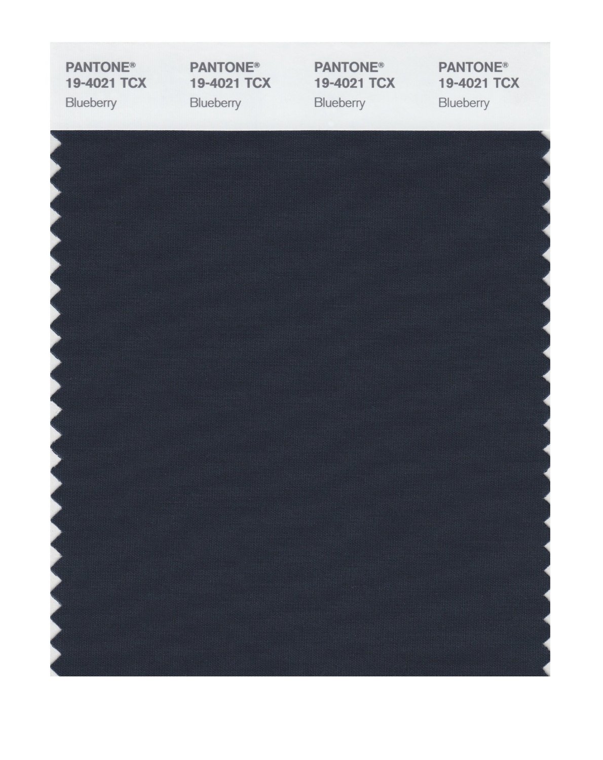 Pantone Cotton Swatch 19-4021 Blueberry