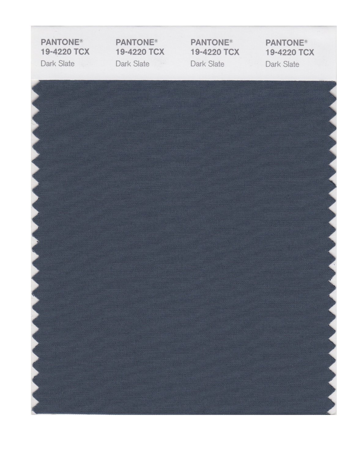 Pantone Cotton Swatch 19-4220 Dark Slate