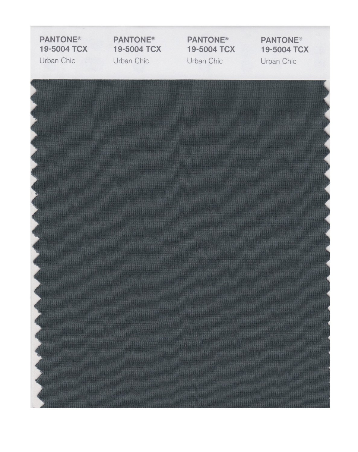 Pantone Cotton Swatch 19-5004 Urban Chic